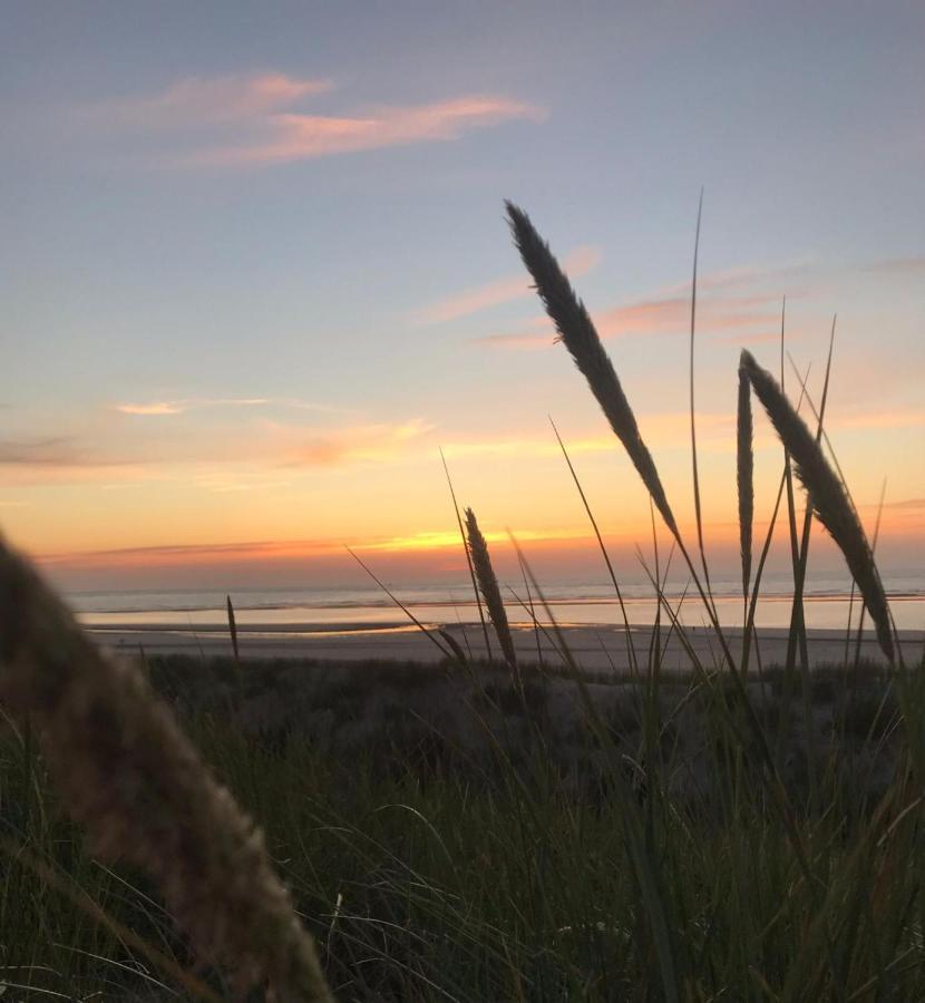Muh - Ostfriesland Nähe Nordsee *